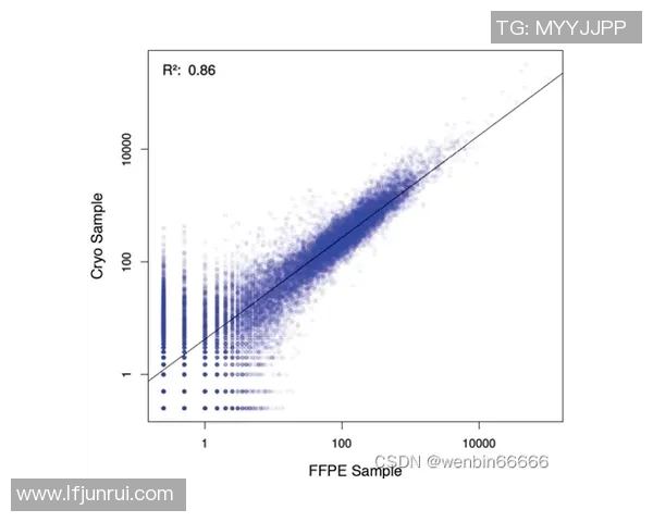 数据揭示：战术解析本赛季表现起伏不定