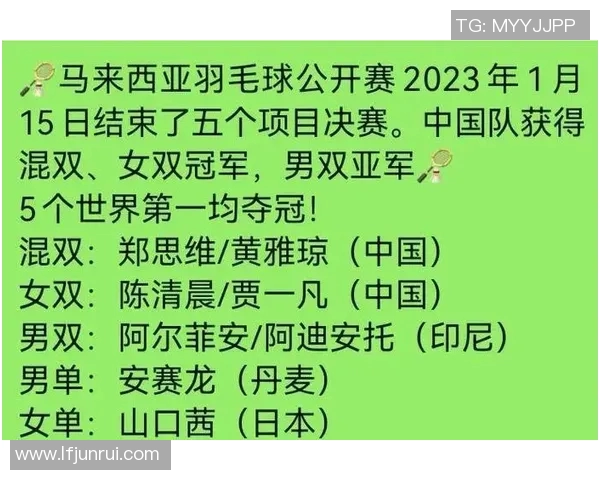 羽毛球赛事裁判判罚的公平性探讨与典型争议案例分析研究 羽毛球赛事裁判判罚的公平性探讨与典型争议案例分析研究